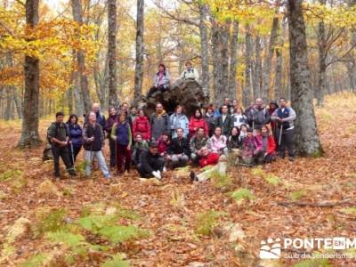 El Castañar de El Tiemblo, grupo senderista de Madrid; rutas por el alto tajo